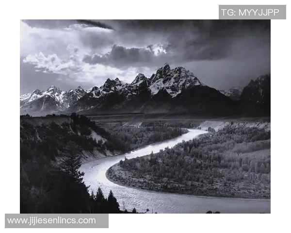 亚当斯的传奇人生与影响力探讨：从个人成就到社会变革的深远意义