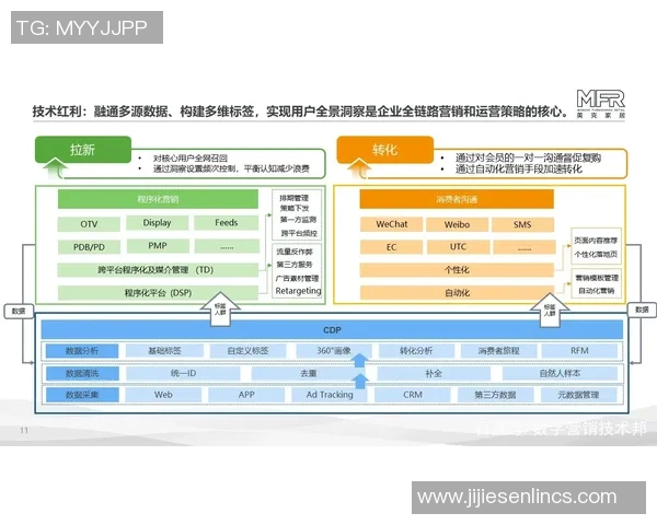 深度分析V5战队的运营策略与战术布局全景解读