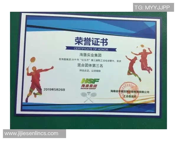 南京羽毛球队个人能力分析与发展探讨聚焦运动员成长与团队协作