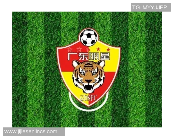 广州足球队实力解析：聚焦球队发展与未来挑战的深度探讨